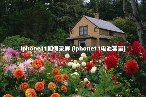 iphone11如何录屏 (iphone11电池容量)