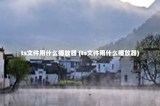 ts文件用什么播放器 (ts文件用什么播放器)