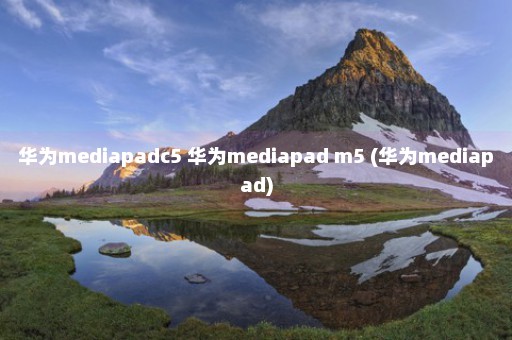 华为mediapadc5 华为mediapad m5 (华为mediapad)