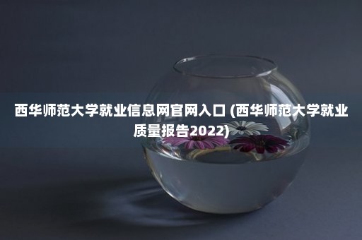 西华师范大学就业信息网官网入口 (西华师范大学就业质量报告2022)