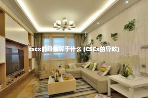 cscx的导数等于什么 (CSCx的导数)