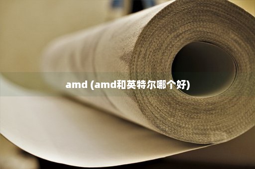 amd (amd和英特尔哪个好)