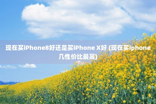 现在买iPhone8好还是买iPhone X好 (现在买iphone几性价比最高)