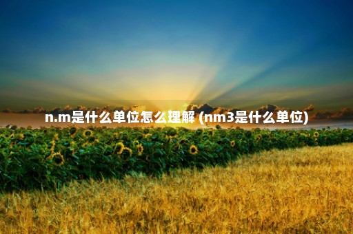 n.m是什么单位怎么理解 (nm3是什么单位)