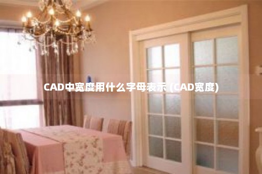 CAD中宽度用什么字母表示 (CAD宽度)