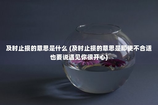 及时止损的意思是什么 (及时止损的意思是即使不合适也要说遇见你很开心)