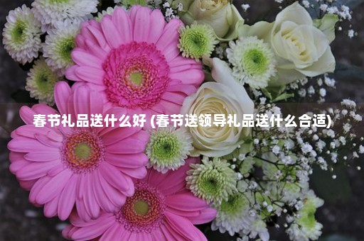 春节礼品送什么好 (春节送领导礼品送什么合适)