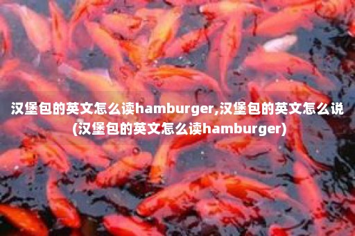 汉堡包的英文怎么读hamburger,汉堡包的英文怎么说 (汉堡包的英文怎么读hamburger)