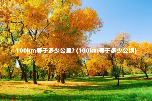 100km等于多少公里? (100km等于多少公顷)