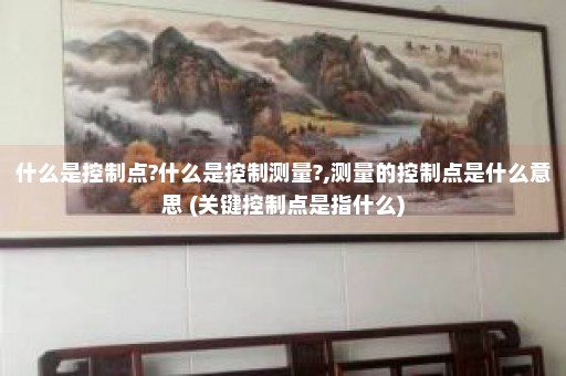 什么是控制点?什么是控制测量?,测量的控制点是什么意思 (关键控制点是指什么)