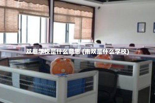 双非学校是什么意思 (南双是什么学校)