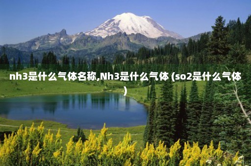 nh3是什么气体名称,Nh3是什么气体 (so2是什么气体)