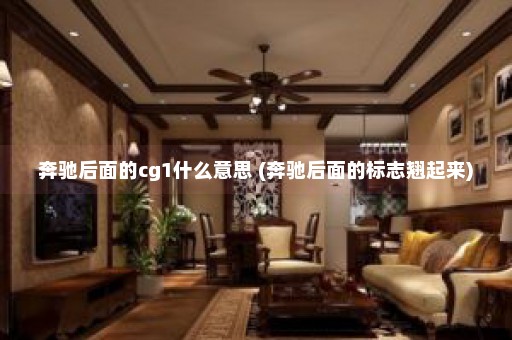 奔驰后面的cg1什么意思 (奔驰后面的标志翘起来)