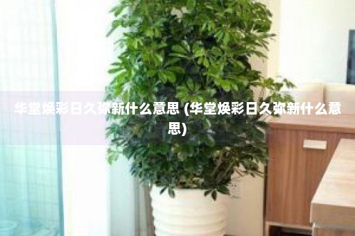 华堂焕彩日久弥新什么意思 (华堂焕彩日久弥新什么意思)