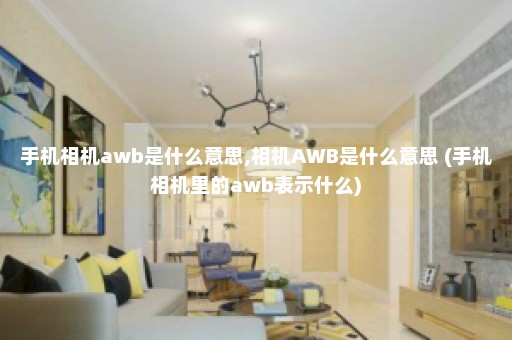 手机相机awb是什么意思,相机AWB是什么意思 (手机相机里的awb表示什么)