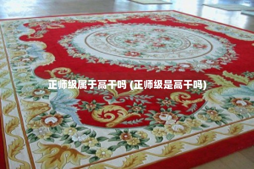 正师级属于高干吗 (正师级是高干吗)