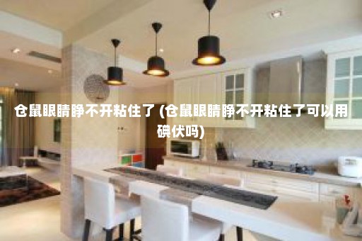 仓鼠眼睛睁不开粘住了 (仓鼠眼睛睁不开粘住了可以用碘伏吗)