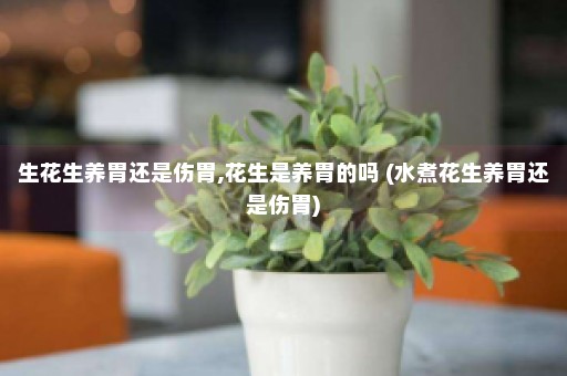 生花生养胃还是伤胃,花生是养胃的吗 (水煮花生养胃还是伤胃)