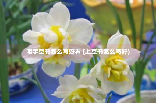 阴字草书怎么写好看 (上草书怎么写好)