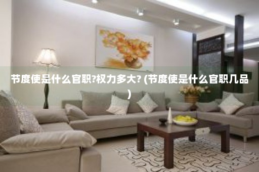 节度使是什么官职?权力多大? (节度使是什么官职几品)