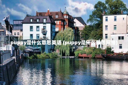 puppy是什么意思英语 (puppy是什么意思网络)