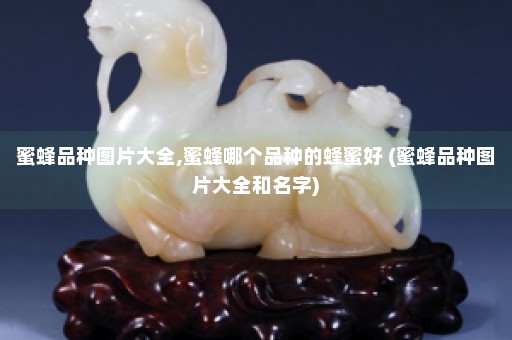 蜜蜂品种图片大全,蜜蜂哪个品种的蜂蜜好 (蜜蜂品种图片大全和名字)