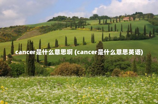 cancer是什么意思啊 (cancer是什么意思英语)