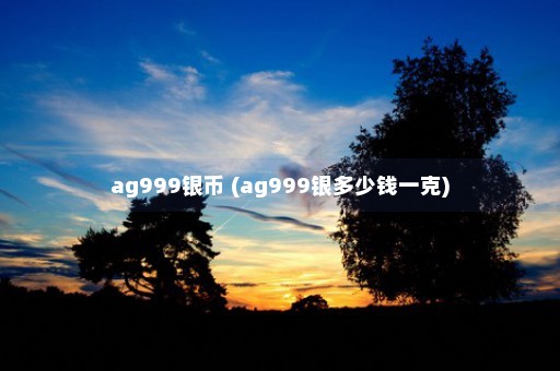 ag999银币 (ag999银多少钱一克)