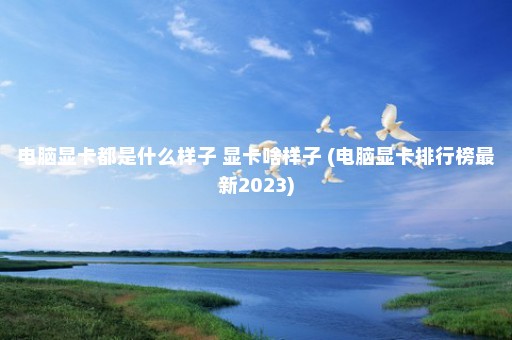 电脑显卡都是什么样子 显卡啥样子 (电脑显卡排行榜最新2023)