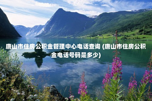 唐山市住房公积金管理中心电话查询 (唐山市住房公积金电话号码是多少)