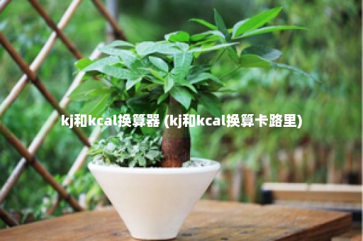 kj和kcal换算器 (kj和kcal换算卡路里)