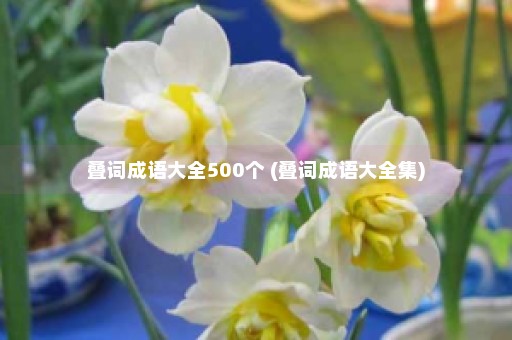 叠词成语大全500个 (叠词成语大全集)