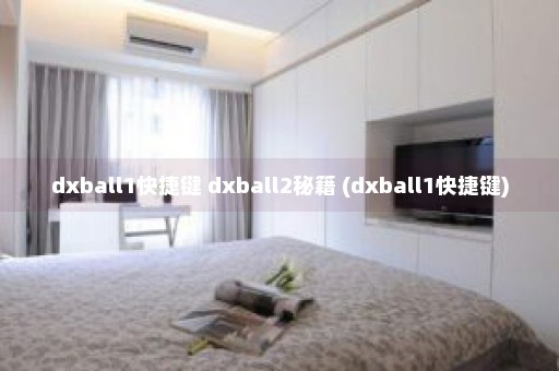 dxball1快捷键 dxball2秘籍 (dxball1快捷键)