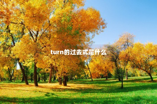 turn的过去式是什么