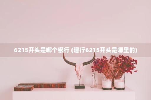 6215开头是哪个银行 (建行6215开头是哪里的)