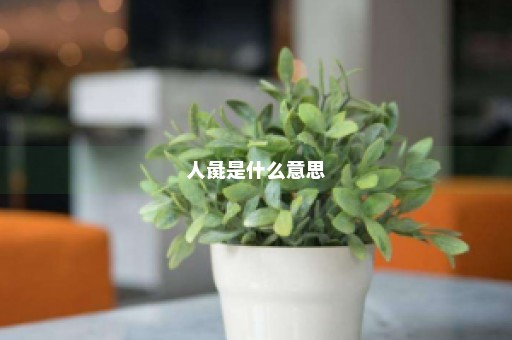 人彘是什么意思