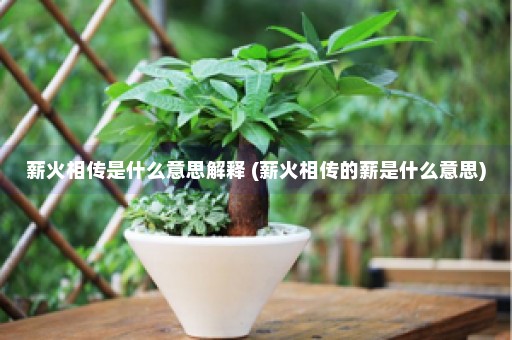 薪火相传是什么意思解释 (薪火相传的薪是什么意思)