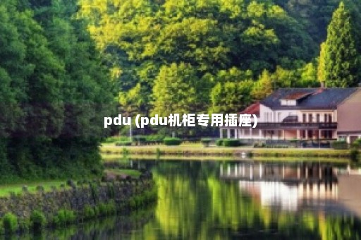 pdu (pdu机柜专用插座)