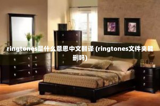 ringtones是什么意思中文翻译 (ringtones文件夹能删吗)