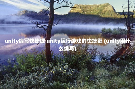 unity编写快捷键 unity运行游戏的快捷键 (unity用什么编写)