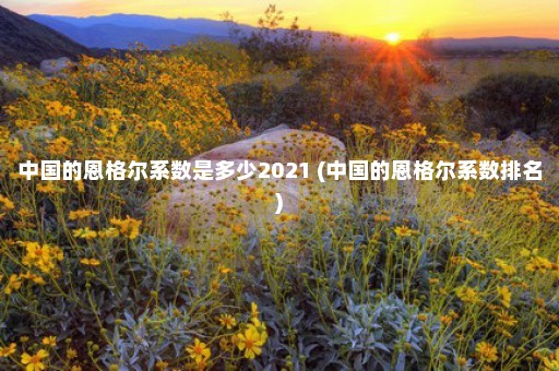 中国的恩格尔系数是多少2021 (中国的恩格尔系数排名)