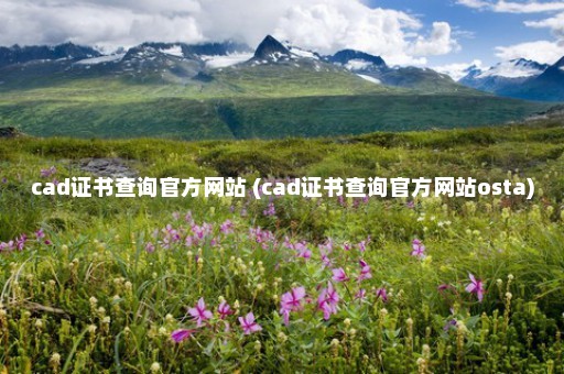 cad证书查询官方网站 (cad证书查询官方网站osta)