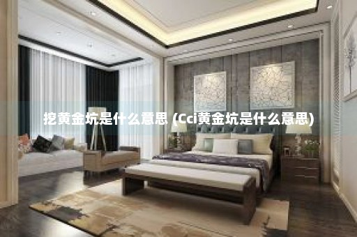 挖黄金坑是什么意思 (Cci黄金坑是什么意思)