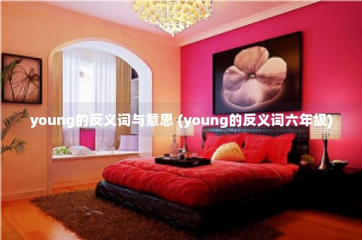 young的反义词与意思 (young的反义词六年级)