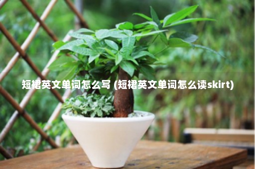 短裙英文单词怎么写 (短裙英文单词怎么读skirt)