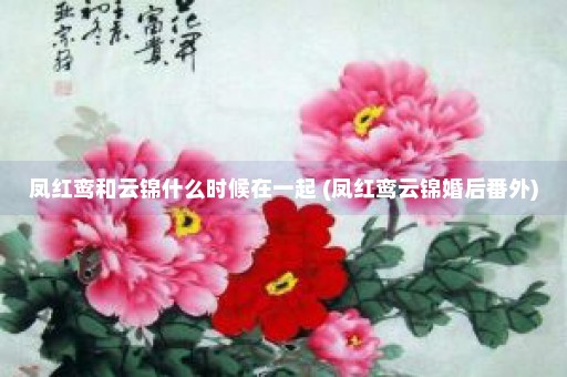 凤红鸾和云锦什么时候在一起 (凤红鸾云锦婚后番外)