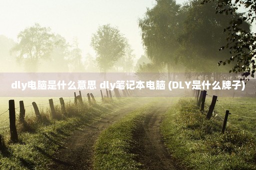 dly电脑是什么意思 dly笔记本电脑 (DLY是什么牌子)