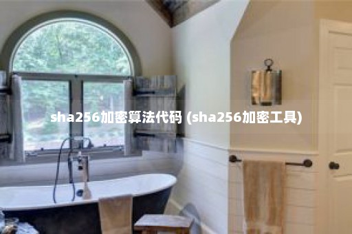 sha256加密算法代码 (sha256加密工具)