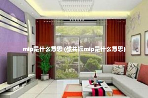 mip是什么意思 (磁共振mip是什么意思)