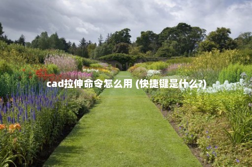 cad拉伸命令怎么用 (快捷键是什么?)